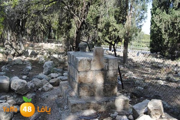 re7la 3emwas 0517 (32).jpg